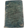 Breviarium Lingonense Pars Verna