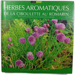 Herbes aromatiques de la ciboulette au romarin