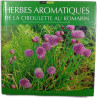 Herbes aromatiques de la ciboulette au romarin