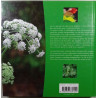 Herbes aromatiques de la ciboulette au romarin