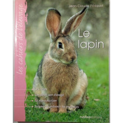 Le lapin