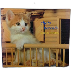 Chats perchés