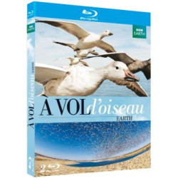 A vol d'oiseau [Blu-ray] [FR Import] (NEUF SOUS BLISTER)