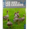 Les oies et les canards