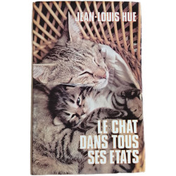 Le chat dans tous ses états