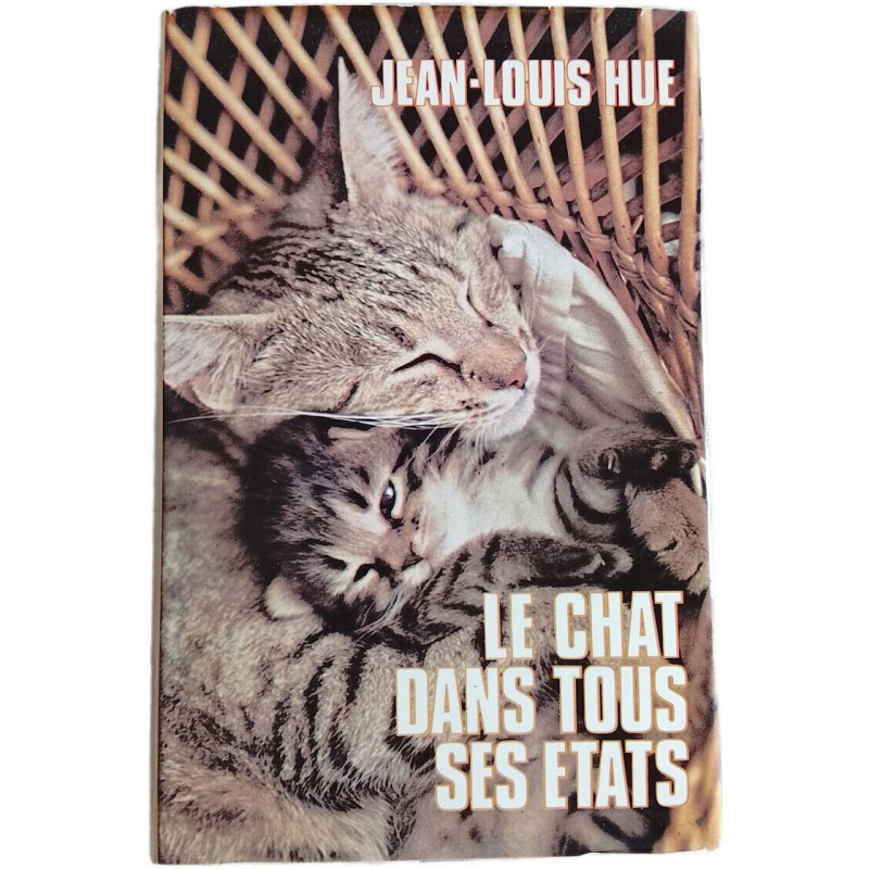 Le chat dans tous ses états
