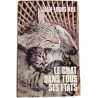Le chat dans tous ses états