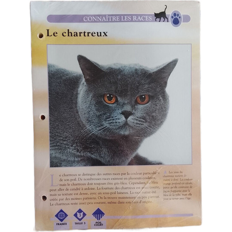 Le chartreux