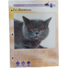 Le chartreux