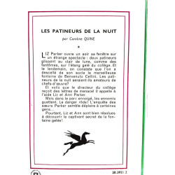 Les patineurs de la nuit