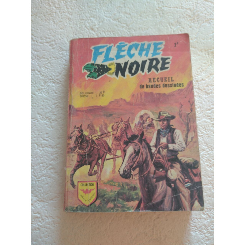 Flèche Noire