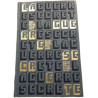 La Guerre Secrète