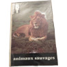 animaux sauvages
