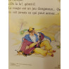 Voyage au pays des fées
