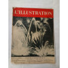 L'Illustration N.4975 - Juillet 1938