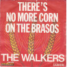 There's No More Corn On The Brasos