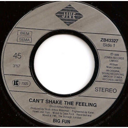 Can't Shake The Feeling