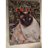 Le Monde Fascinant des Chats