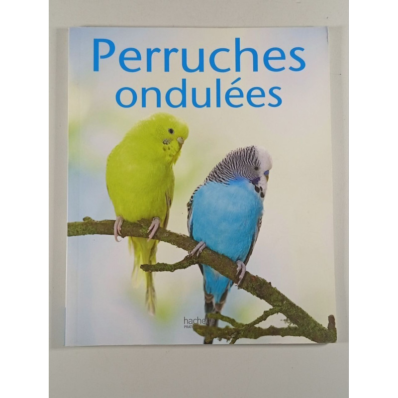 Perruches ondulées