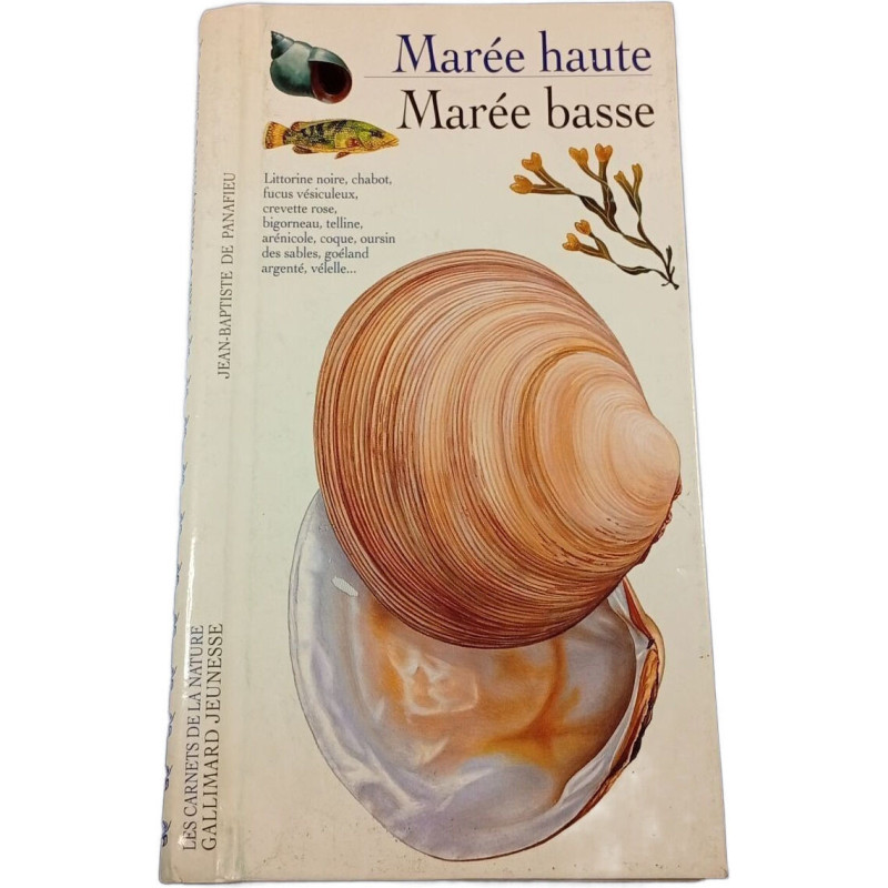 Marée haute Marée basse