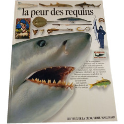 La peur des requins