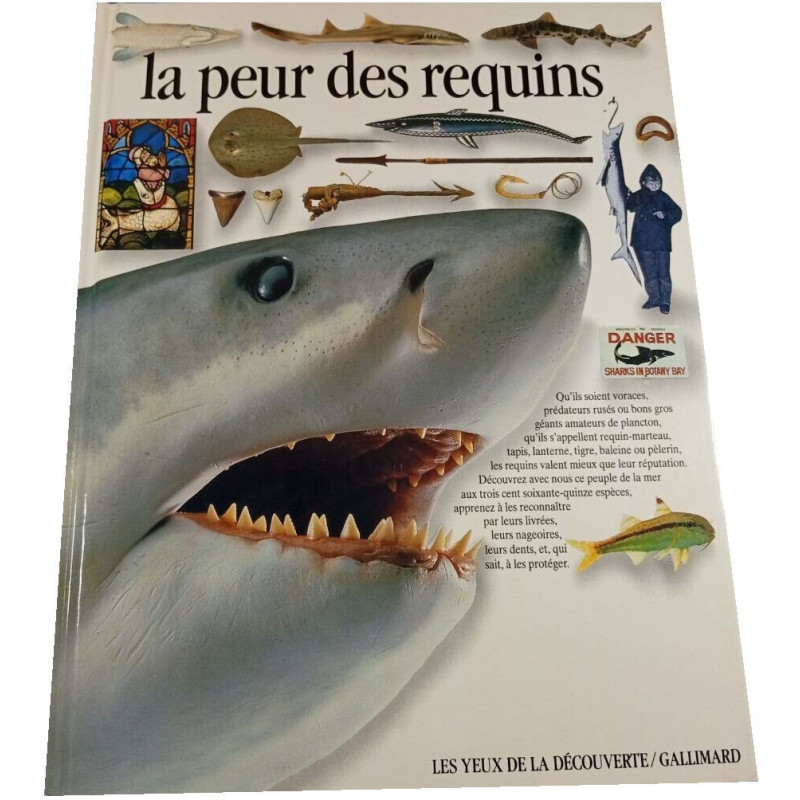 La peur des requins