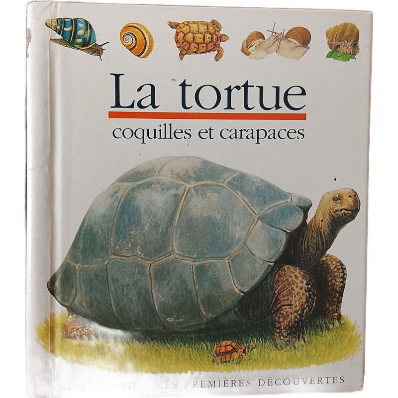 La tortue