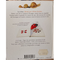 La tortue