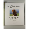 Le Cheval Révélé