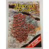 Minéraux et Fossiles