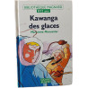 Kawanga des glaces