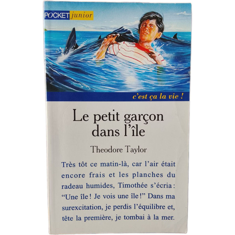 Le petit garçon dans l'île