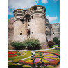 Les châteaux de la Loire