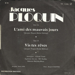 L'Ami Des Mauvais Jours / Vis Tes Rêves
