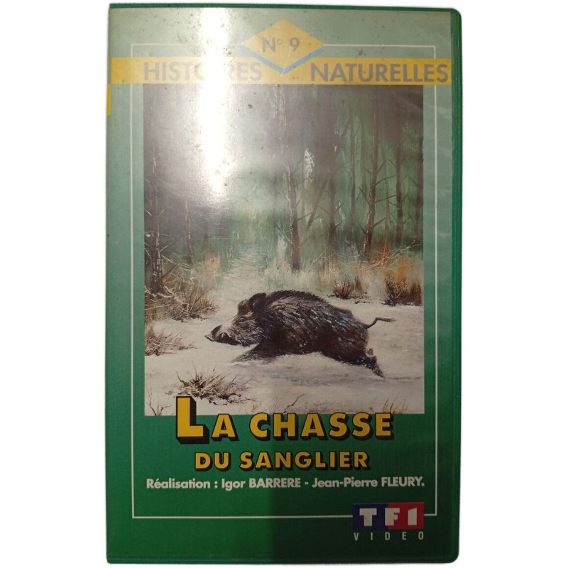 La chasse du sanglier
