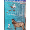 Street atlas Nottingham