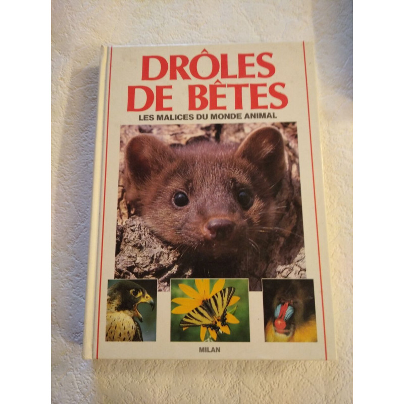 Drôles de bêtes : Les malices du monde animal