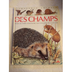 Des champs