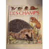 Des champs
