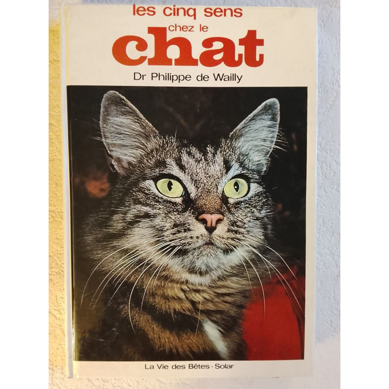 Les cinq sens chez le chat
