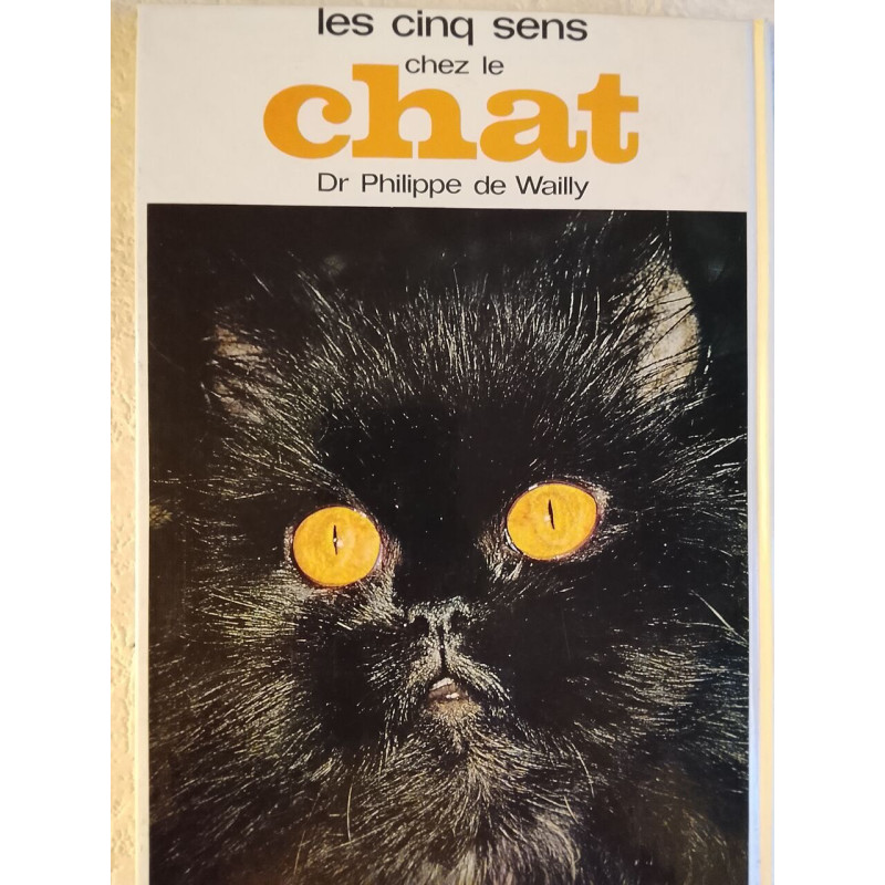 Les cinq sens chez le chat