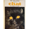 Les cinq sens chez le chat