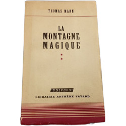 La Montagne Magique tome 2