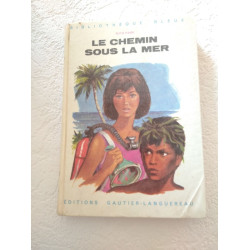 Le chemin sous la mer