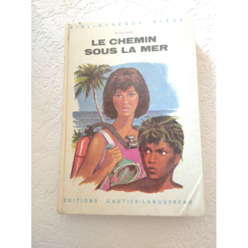 Le chemin sous la mer