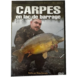 Carpes en lac de barrage