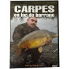 Carpes en lac de barrage