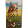 Lassie : Des amis pour la vie