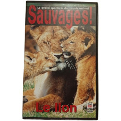 Sauvages! Le lion
