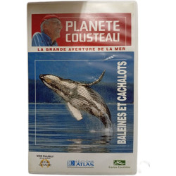Planète Cousteau : La grande aventure de la mer - Baleines et...